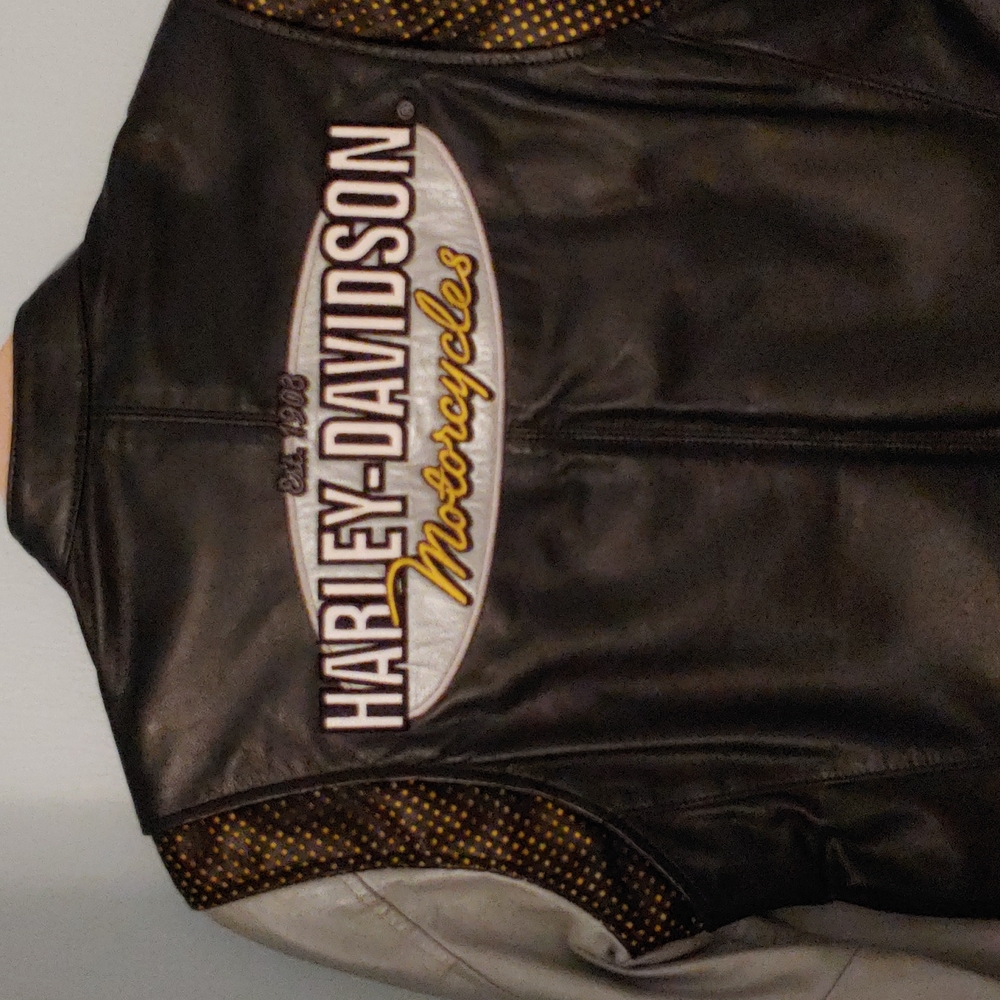 Harley Davidson, leather jacket silver, black, yellow, zip front, sleeves.